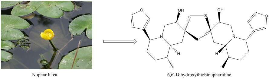 From plant to small molecule